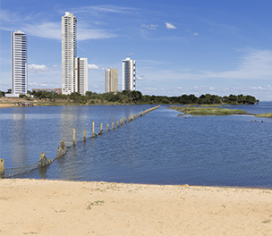 Palmas