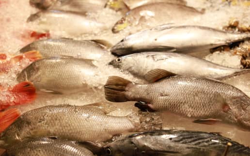 Mercado de Peixe