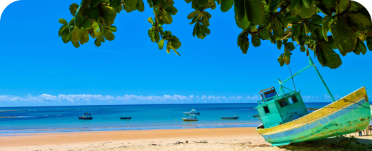 Maceió - AL