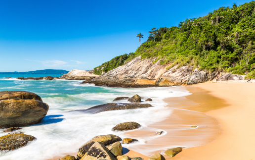 Saiba tudo sobre Balneário Camboriú!