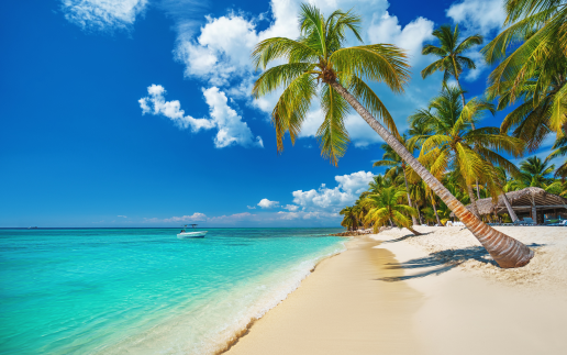 Saiba tudo sobre Punta Cana!