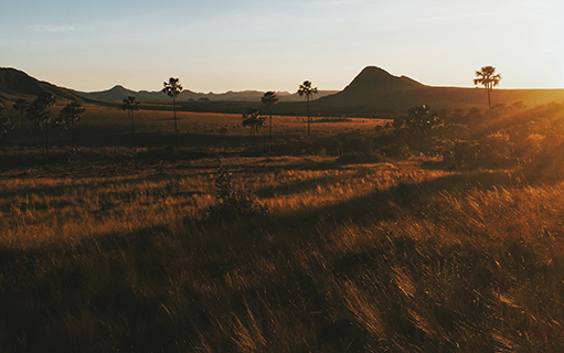 Chapada dos Veadeiros, natureza exuberante e energia mística