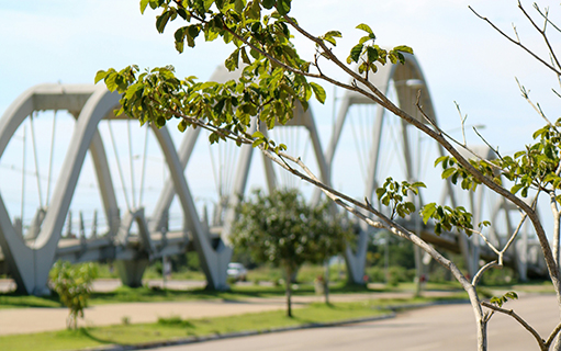 As atrações de Porto Velho