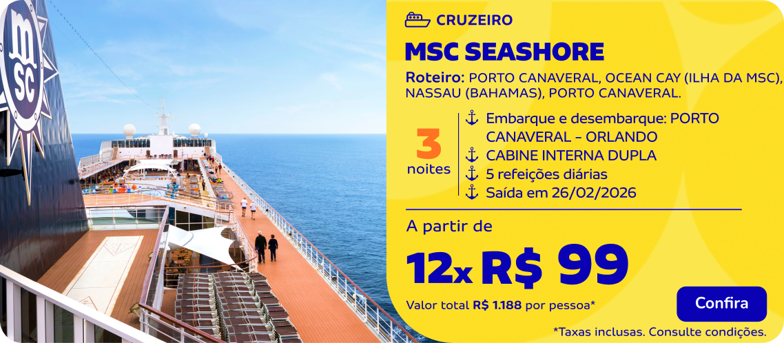 MSC SEASHORE | 3 noites